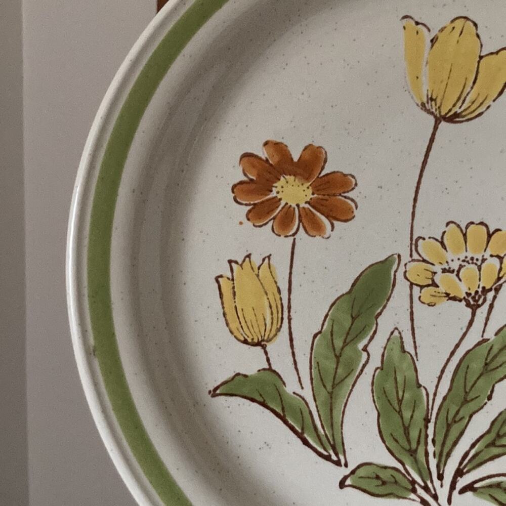 Vintage Country Casual “Sunnyvale” Dinner Plates, Set of 2 - Picture 3 of 10